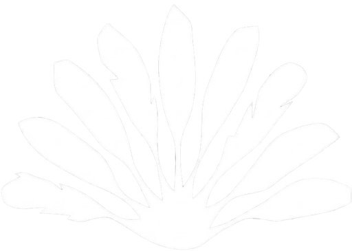 Ravenala Hotel Boutique logo